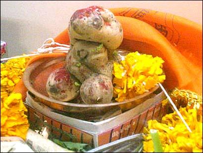 'Ganesha' potato is worshipped