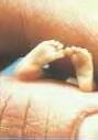 The precious feet of a little fetus child. 