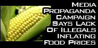 Media Propaganda Campaign Says Lack Of Illegals Inflating Food Prices 