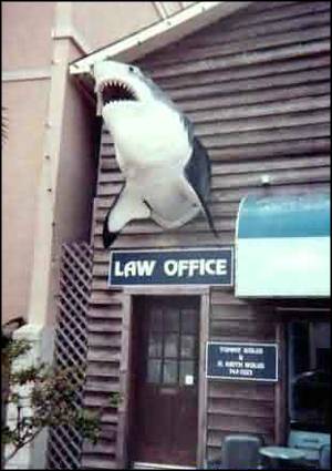 Lawyer's Office